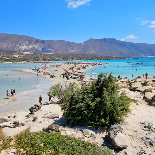 Elafonisi Beach Private tours by Moysidis Travel